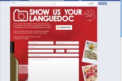 LANG-0058_2013_Facebook_Contest-Costanera-entry