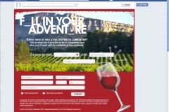 LANG-0058_2013_Facebook_fall_entry-v3