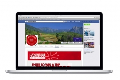 languedoc-fb-contest