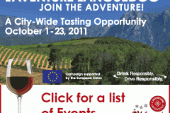 CIVLTRA-0031_Online_Ads_300x250
