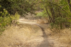 pic_005