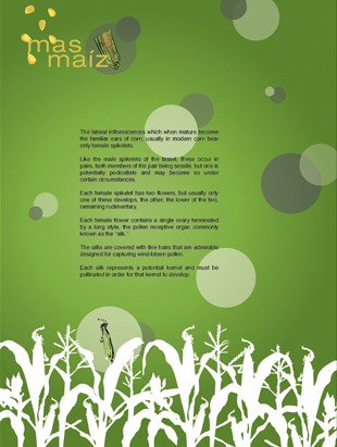 Corn Poster