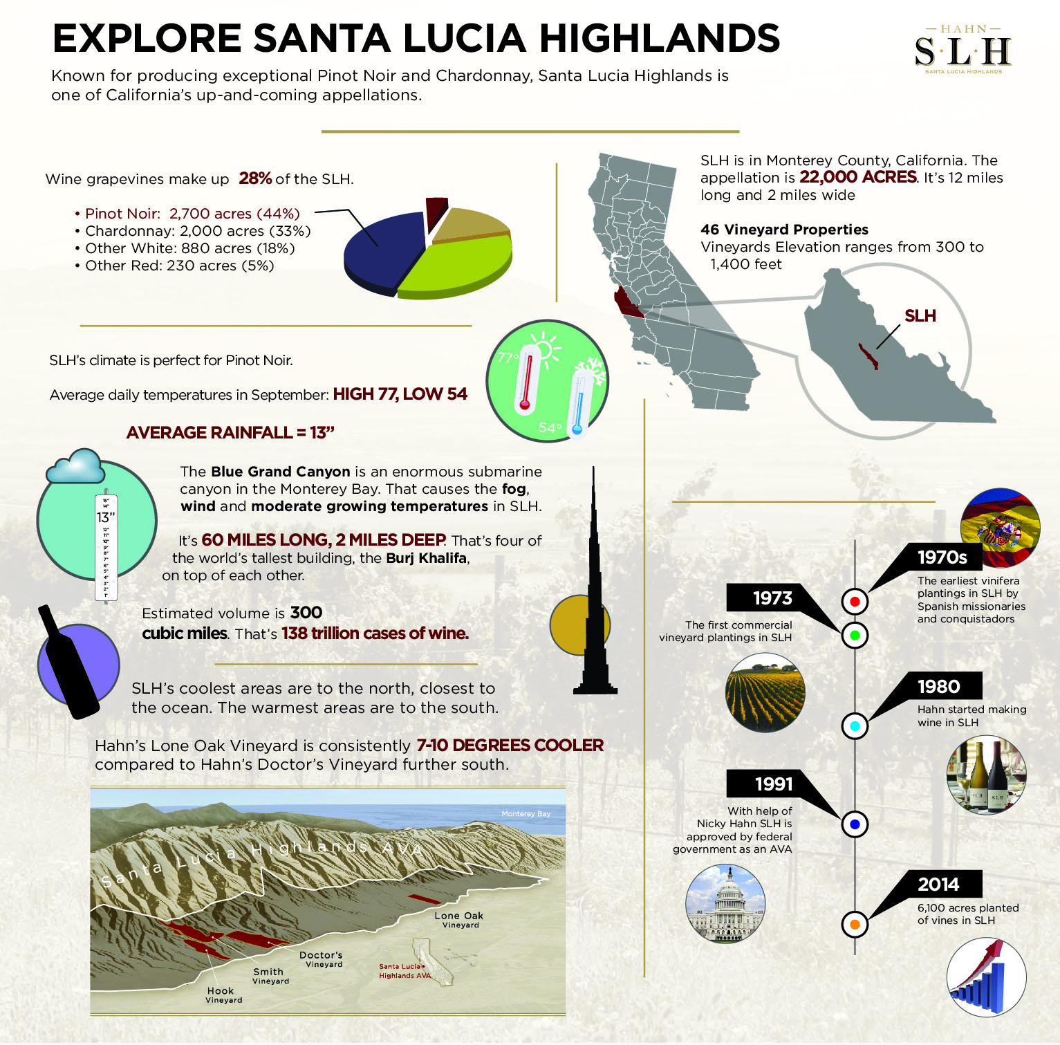 Hahn Infographic