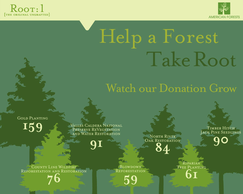 Root:1 Infographic