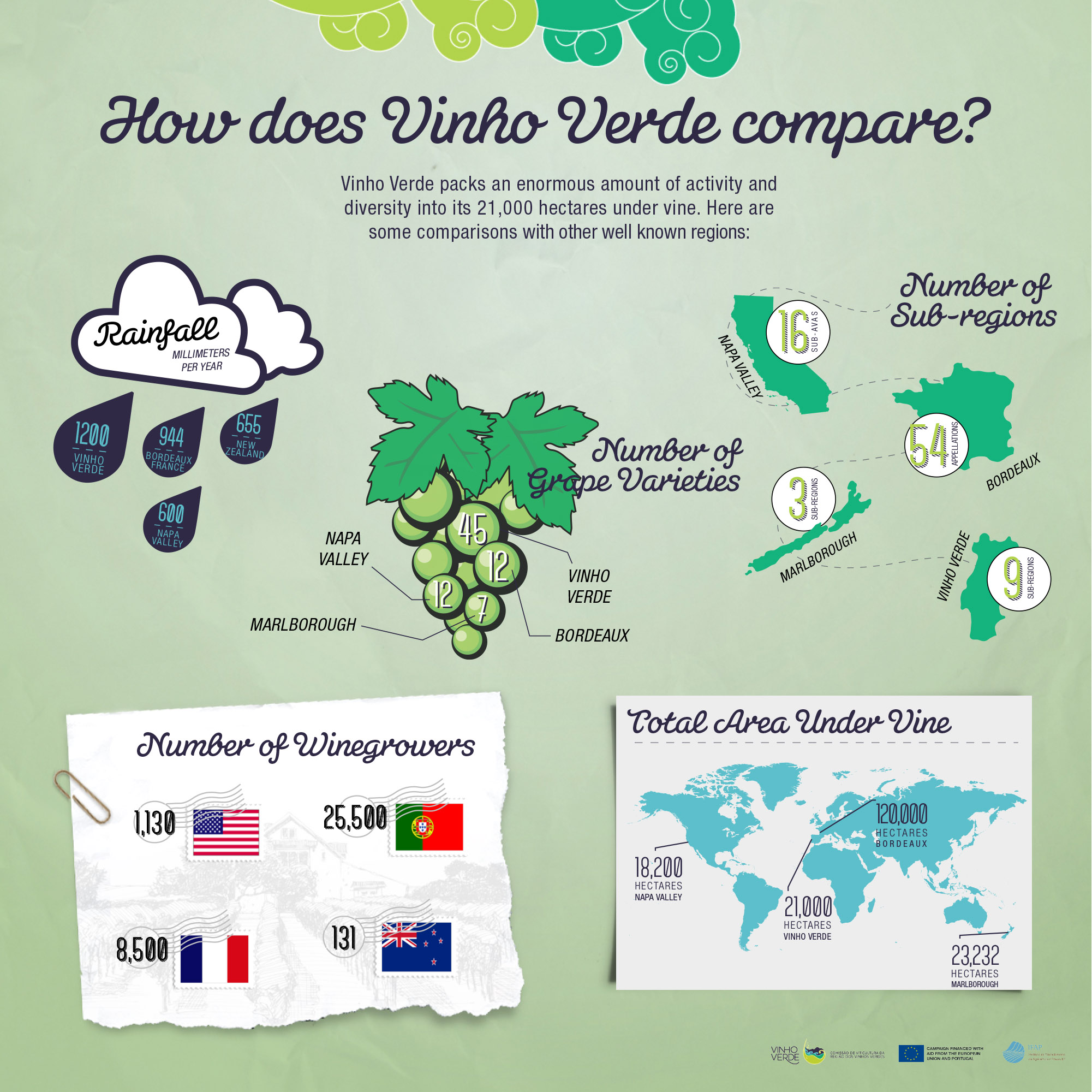 Vinho Verde Infographic