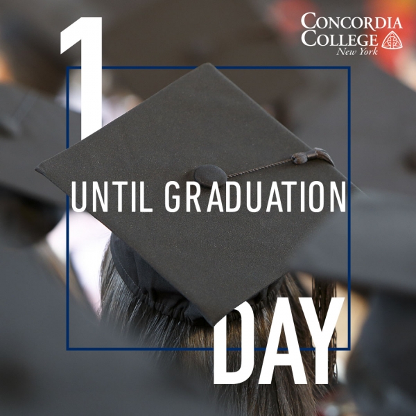 Concordia Online Education Instagram Organic