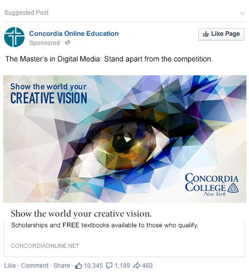Concordia Online Education Facebook Paid